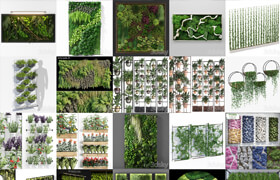 PLANTS Fitowall P1 20260912