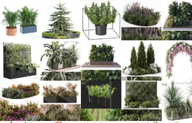 PLANTS Outdoor P10 20260912