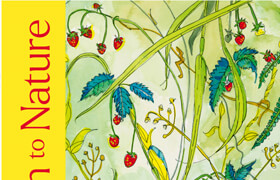 Drawn to Nature (True EPUB) - book
