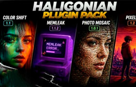 Haligonian Bundle