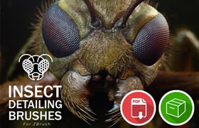Pablander Academy - Insect Detailing Brushes for ZBrush - ZB笔刷