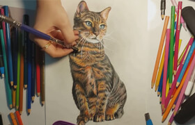 Udemy - Realistic Cat Drawing with Colored Pencils Step by Step