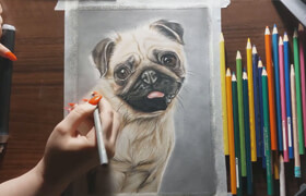 Udemy - Realistic Dog Drawing with Colored Pencils Step-by-Step