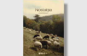 Julian Papis - Nostalgia LUT Pack - lut