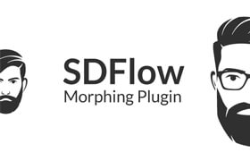 SDFlow