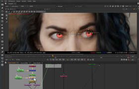 The Gnomon Workshop - Tracking & Compositing VFX for Film & TV