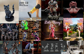 3D-Print Models Bundle 2 - dt - Oct 2026 压缩后102 GB（已压缩）