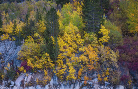 KelbyOne - The Complete Guide to Fall Photography