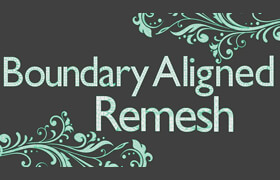 Boundary Aligned Remesh