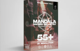 SICKBOAT - MANDALA Sacred Geometry Animations Pack - 视频素材