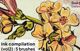 Brush Galaxy - Ink Compilation Brushes Vol 2