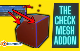 Check Mesh
