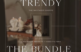 The Wanderful Wayfarer - Trendy Lightroom Presets + Video Filters Bundle - lut