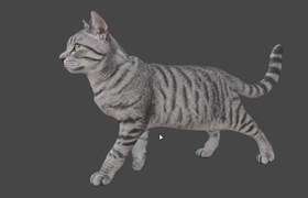 Udemy - AI Animation in Blender with GPT 6 Astra & GPT 6.1 Sol
