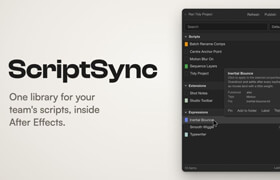 Script Sync