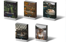 Sean Dalton - Full Presets Bundle - 调色预设