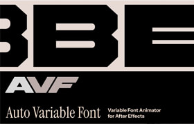 Auto Variable Font