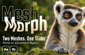 MeshMorph