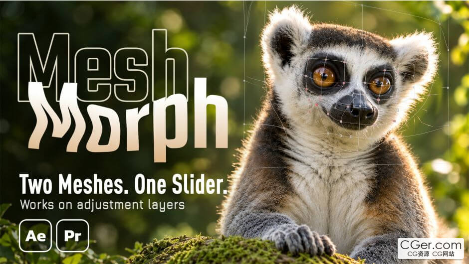 high.jpg high.jpg